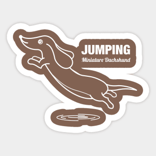 Miniature Dachshund JUMPING -White- Sticker